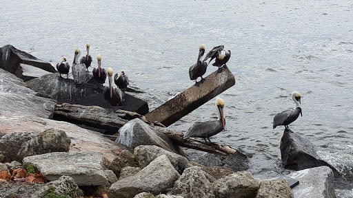 Bar & Grill «The Inlet Grill», reviews and photos, 110 S Ocean Dr, Fort Pierce, FL 34949, USA