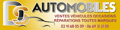 Ds Automobiles à Loire-Authion