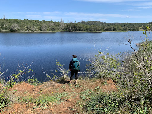 Camping Store «REI», reviews and photos, 2715 Santa Rosa Ave, Santa Rosa, CA 95407, USA