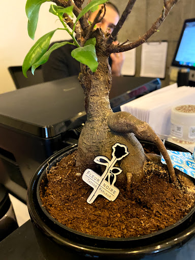 Tattoo Shop «Fleur Noire Tattoo Parlour», reviews and photos, 439 Metropolitan Ave, Brooklyn, NY 11211, USA