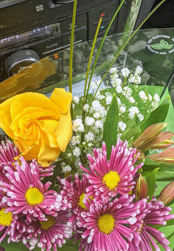 Supermarket «ALDI», reviews and photos, 26300 Greenfield Rd, Oak Park, MI 48237, USA