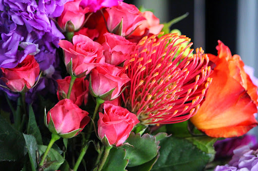 Florist «Carrollwood Florist», reviews and photos, 11745 N Dale Mabry Hwy, Tampa, FL 33618, USA