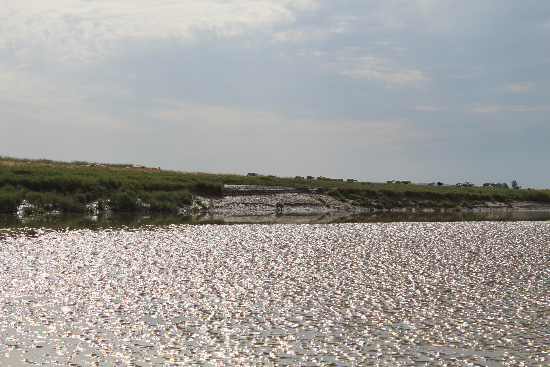 Photo n° 1 de l'avis de Marie.� fait le 09/07/2023 à 12:23