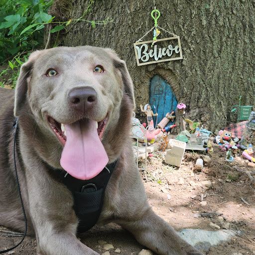 Park «Meadowbrook Park», reviews and photos, 5001 Meadowbrook Ln, Ellicott City, MD 21043, USA