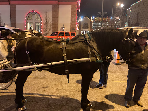 Carriage ride service Independence