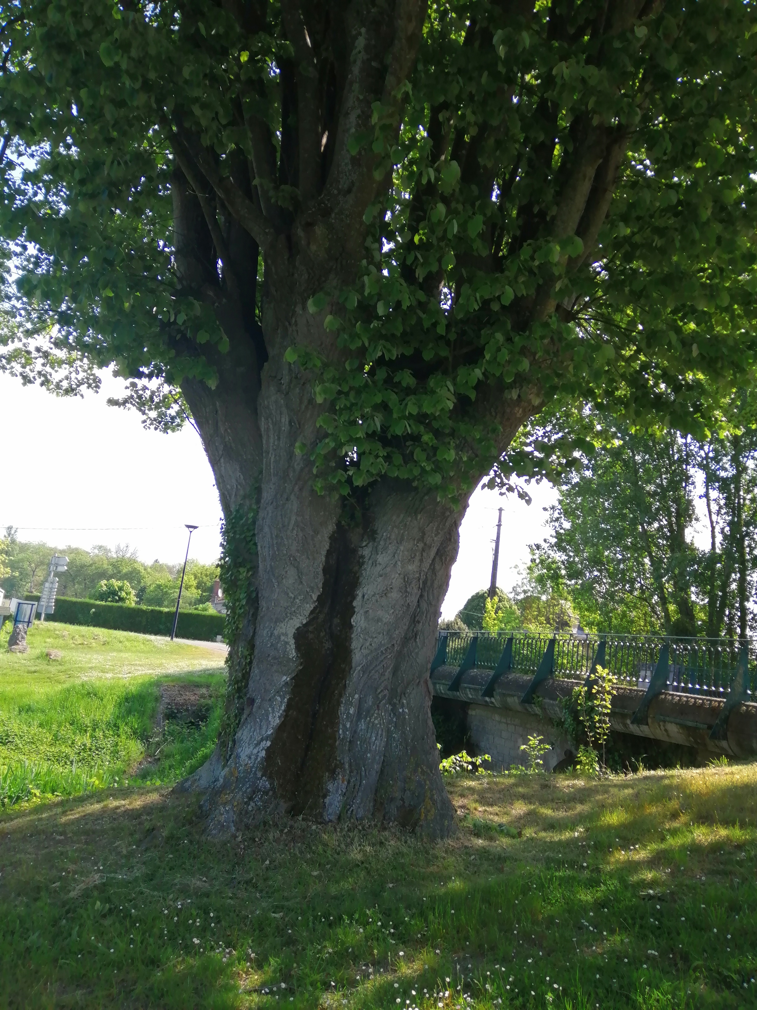 Photo n° 2 de l'avis de Gerard.o fait le 07/05/2022 à 16:48