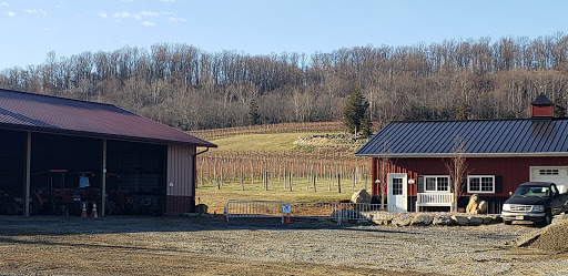 Winery «Alba Vineyard», reviews and photos, 269 Riegelsville Warren Glen Rd, Milford, NJ 08848, USA