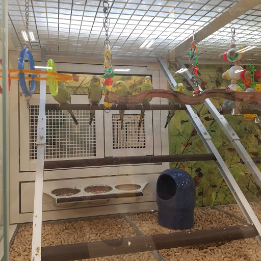 Pet Supply Store «PetSmart», reviews and photos, 8537 W Grand River Ave, Brighton, MI 48116, USA