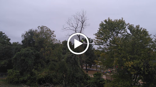 Boat Ramp «Bladensburg Waterfront Park», reviews and photos, 4601 Annapolis Rd, Bladensburg, MD 20710, USA