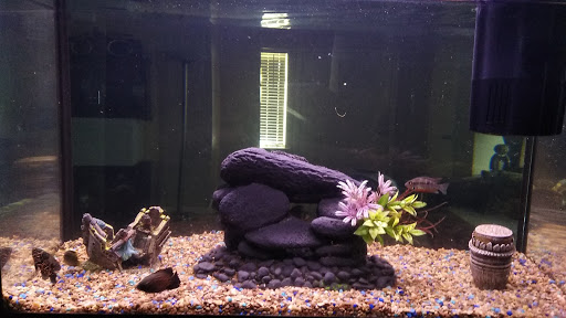 Pet Supply Store «Pet Supplies Plus», reviews and photos, 7041 Barker Cypress Rd, Cypress, TX 77433, USA