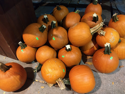 Supermarket «Big Y», reviews and photos, 700 S Main St #2, Great Barrington, MA 01230, USA