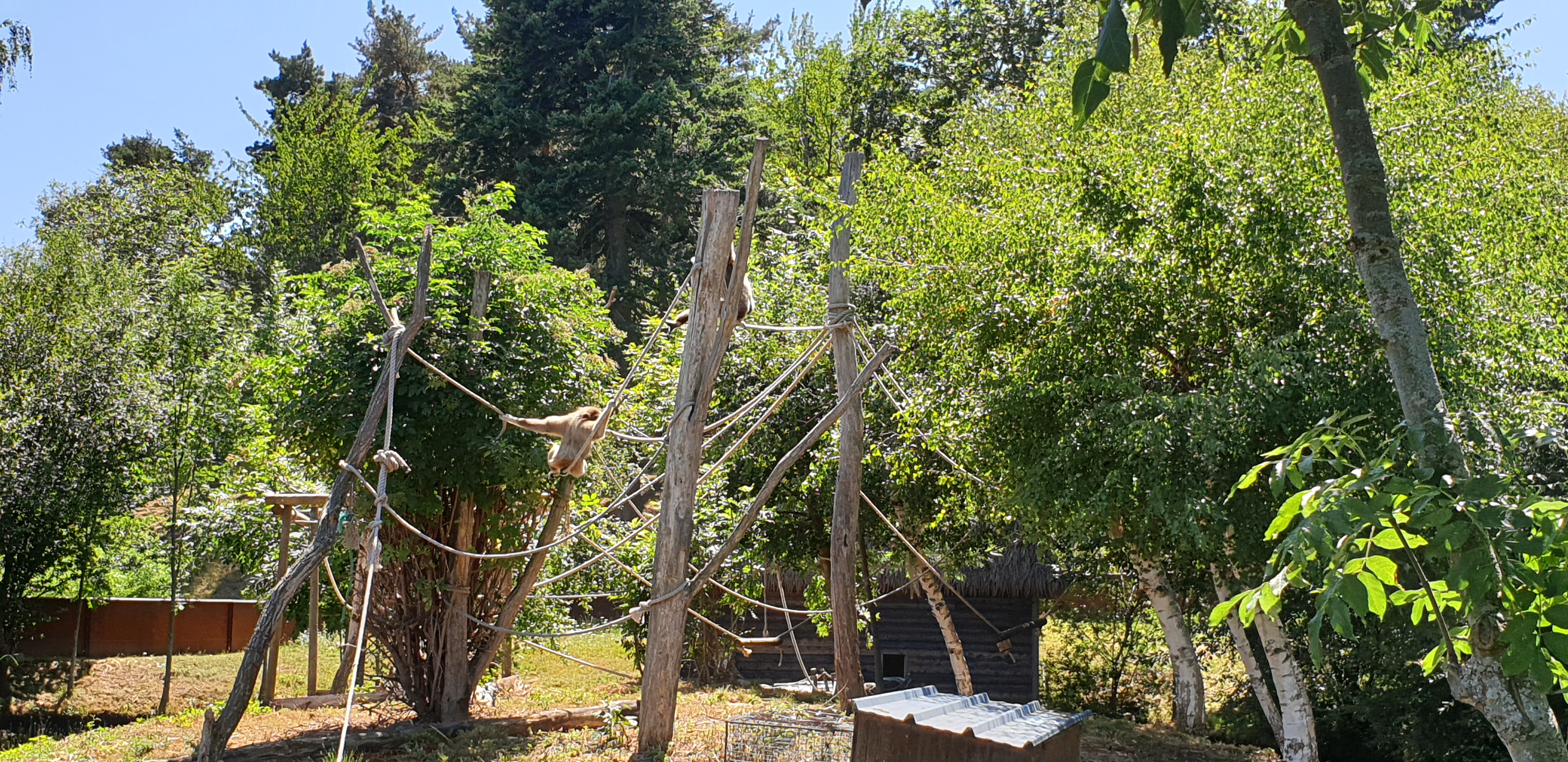 Photo n° 2 de l'avis de William.e fait le 29/07/2019 à 16:36