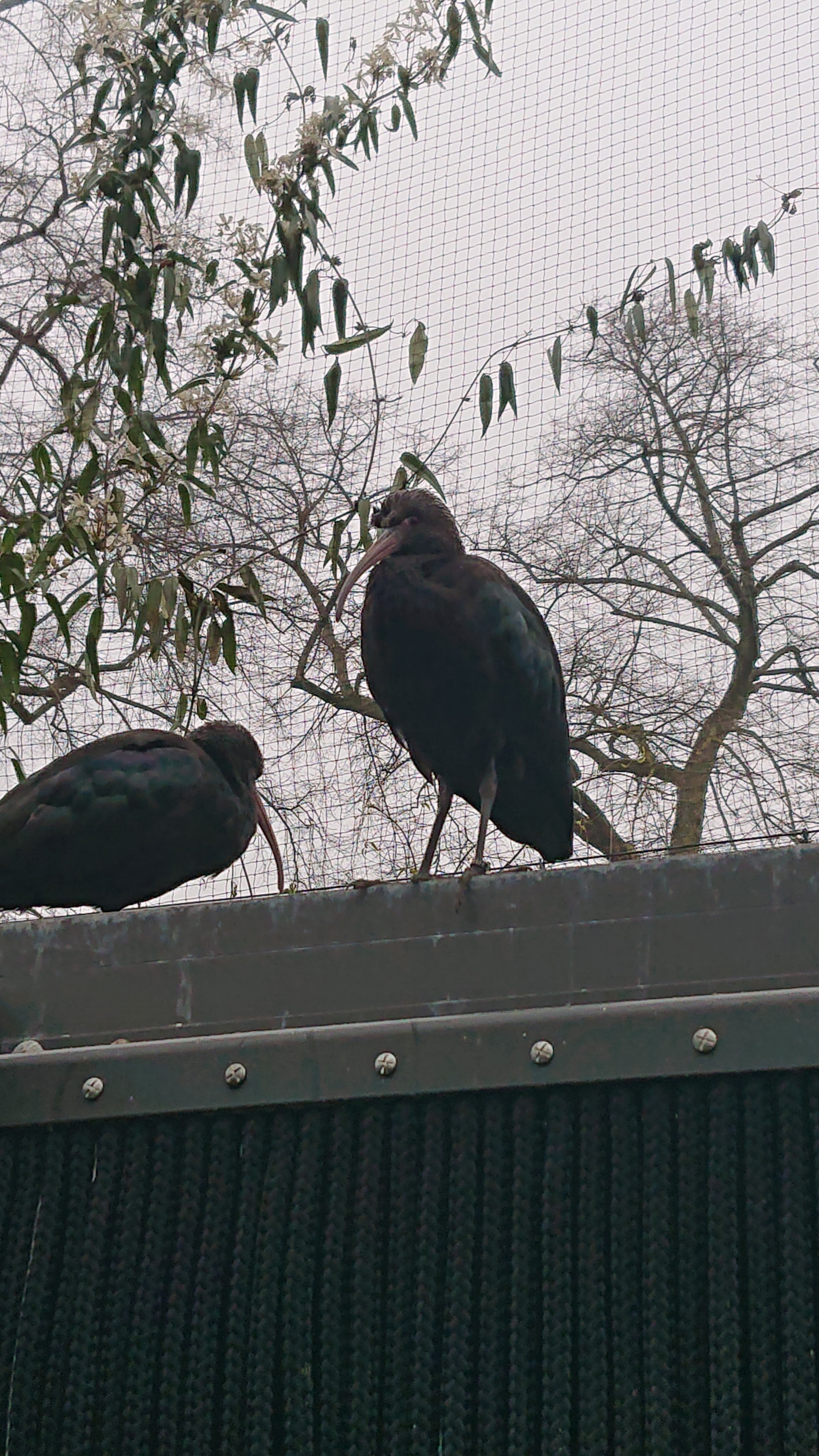 Photo n° 8 de l'avis de Otaries.a fait le 26/03/2019 à 09:02