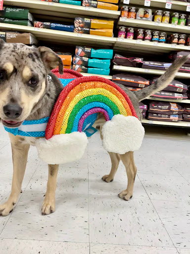 Pet Supply Store «PetSmart», reviews and photos, 1232 Hooper Ave, Toms River, NJ 08753, USA