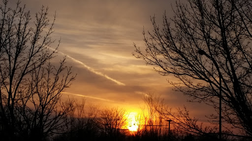 Grocery Store «Marina Market», reviews and photos, 31 Marine Dr, Buffalo, NY 14202, USA