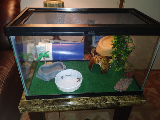 Pet Supply Store «Pet Supplies Plus», reviews and photos, 254 S Illinois Ave, Oak Ridge, TN 37830, USA