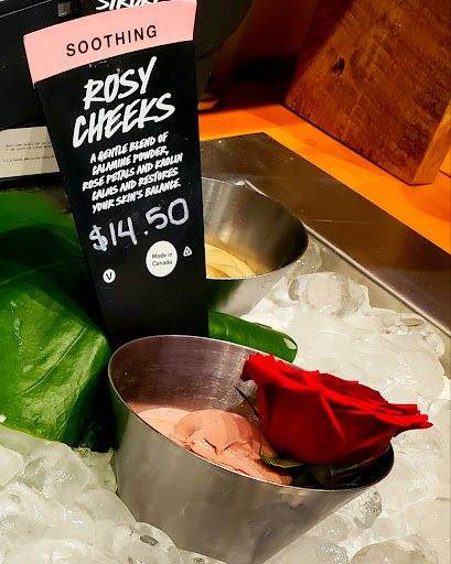 Cosmetics Store «Lush Cosmetics», reviews and photos, 2002 Annapolis Mall Rd, Annapolis, MD 21401, USA