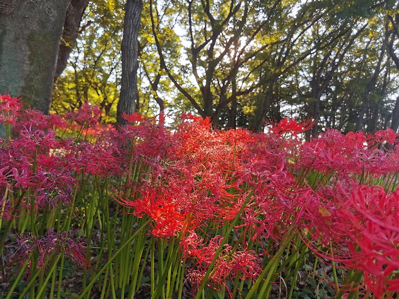 境御嶽山自然の森公園