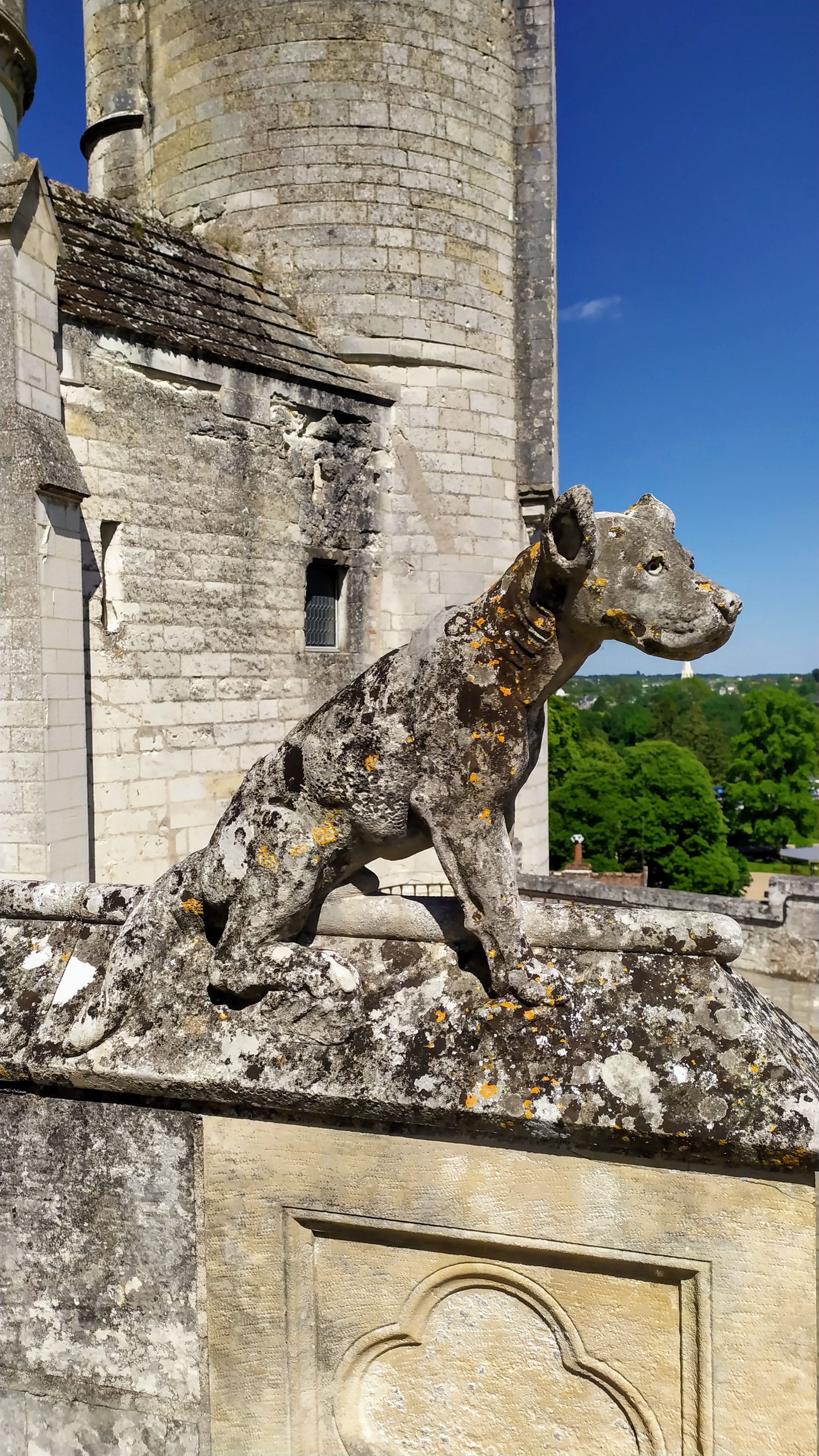 Photo n° 4 de l'avis de R. fait le 01/06/2019 à 06:33