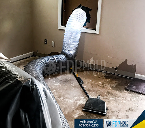 FDP Mold Remediation of Arlington