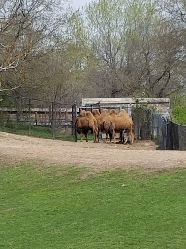 Zoo «Minnesota Zoo», reviews and photos, 13000 Zoo Blvd, Apple Valley, MN 55124, USA