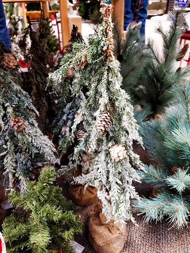 Outdoor Furniture Store «American Sale - Orland Park», reviews and photos, 16660 South La Grange Road, Orland Park, IL 60467, USA