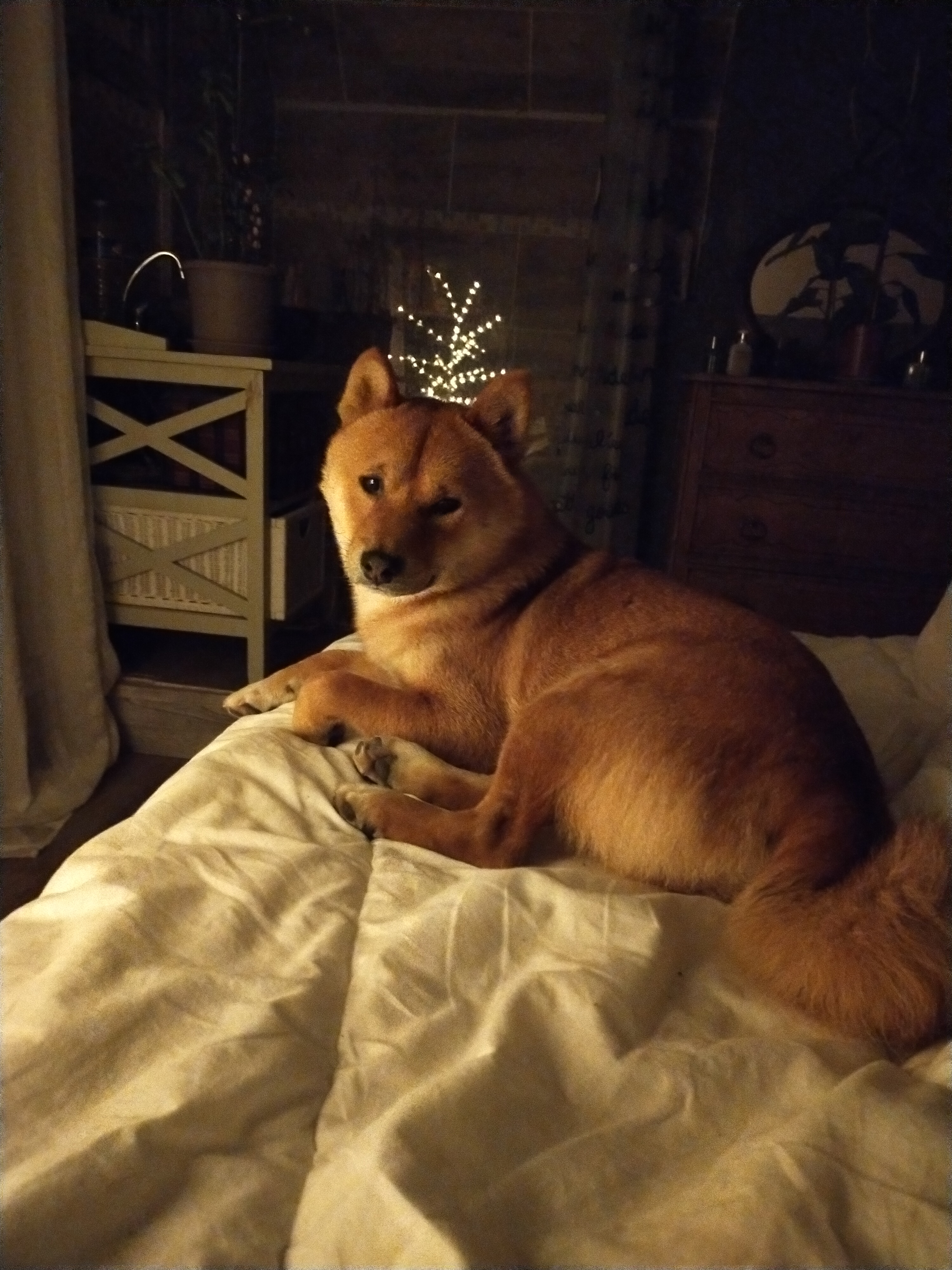 Photo n° 1 de l'avis de Emeline.a fait le 20/07/2021 à 21:21