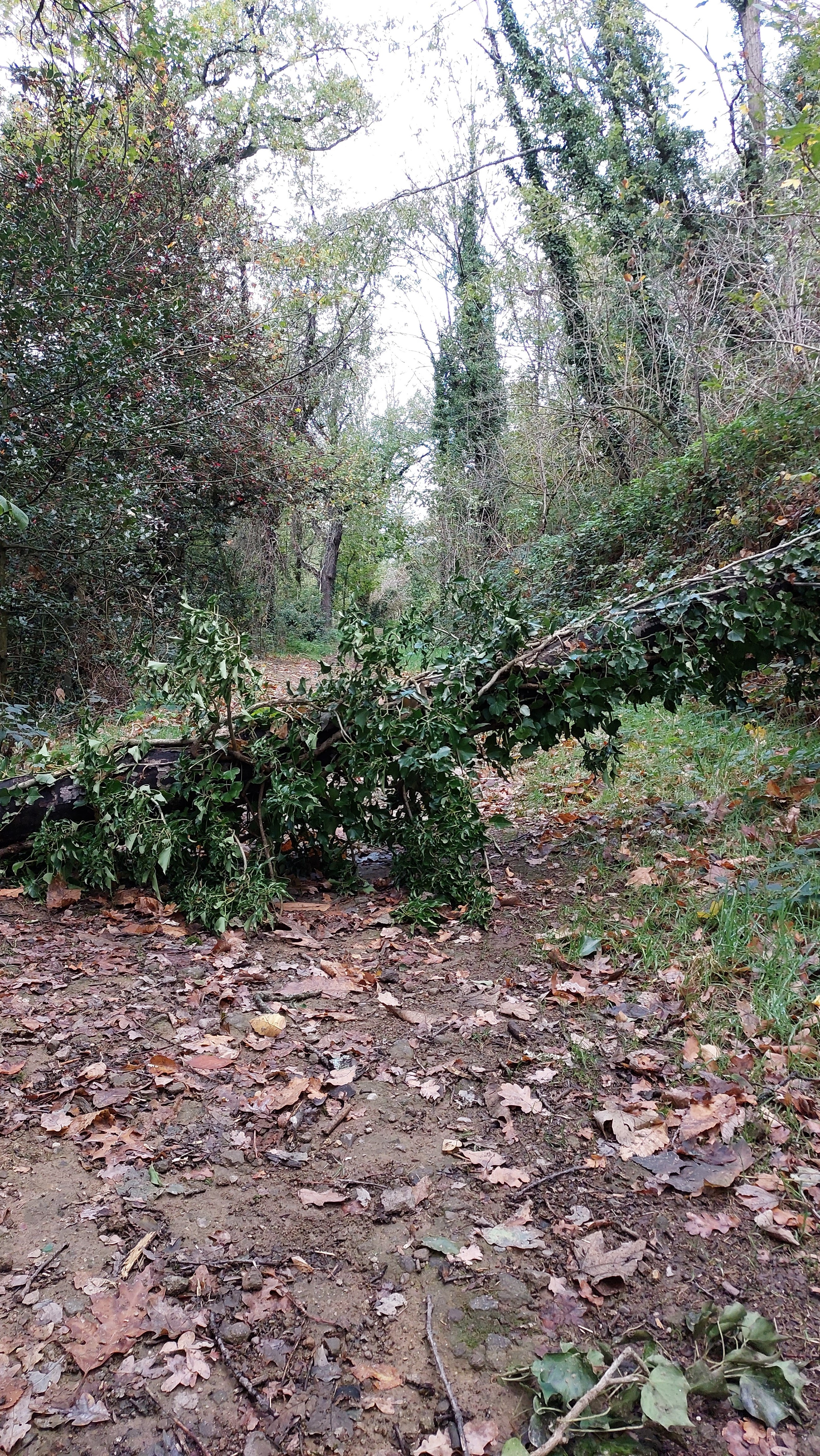 Photo n° 6 de l'avis de Josh.r fait le 05/11/2022 à 12:12