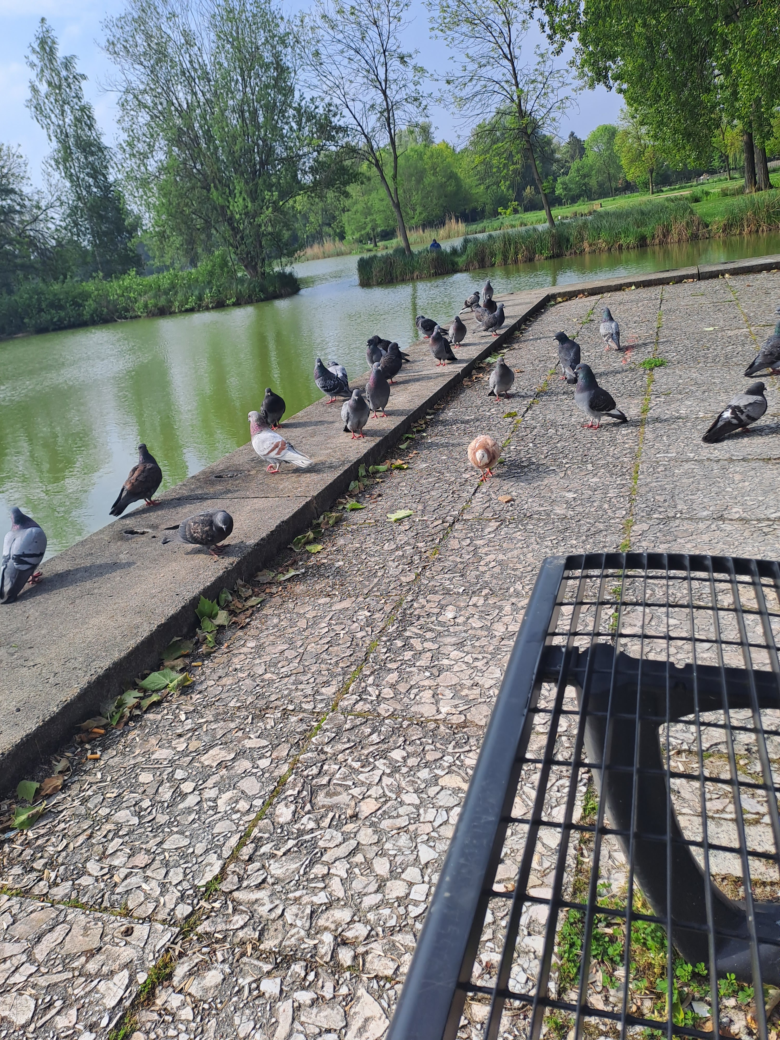 Photo n° 2 de l'avis de simoen.a fait le 14/05/2023 à 13:37