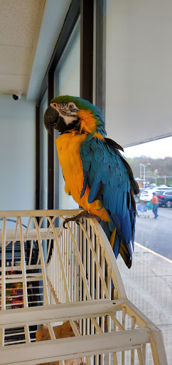 Pet Store «Exotics & Aquatics», reviews and photos, 5423 Williamson Rd, Roanoke, VA 24012, USA