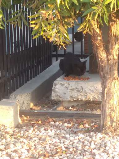 Self-Storage Facility «Low Cost Storage Stanton», reviews and photos, 10850 Beach Blvd, Stanton, CA 90680, USA