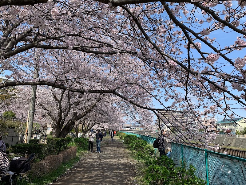 境川橋