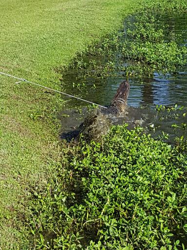 Golf Course «Riverview Park Golf Course», reviews and photos, 100 Riverview Park Dr, Dublin, GA 31021, USA