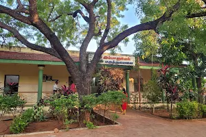 CSI Immanuel Mission Hospital, Idaiyangudi image