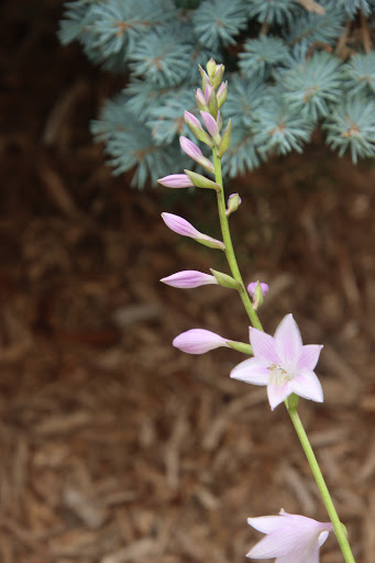 Park «Post Park», reviews and photos, 451 Unqua Rd, Massapequa Park, NY 11762, USA