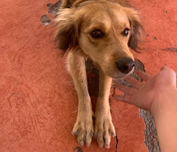 Urban Day Trips photo