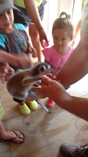 Zoo «Trowbridge Creek Zoo», reviews and photos, 50622 Co Rd 17, Vergas, MN 56587, USA