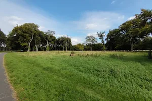 Hurling Grounds image