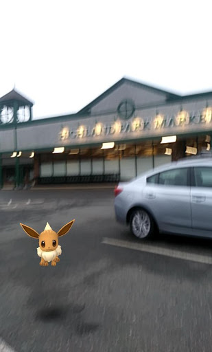 Supermarket «Highland Park Market», reviews and photos, 1721 Boston Turnpike, Coventry, CT 06238, USA