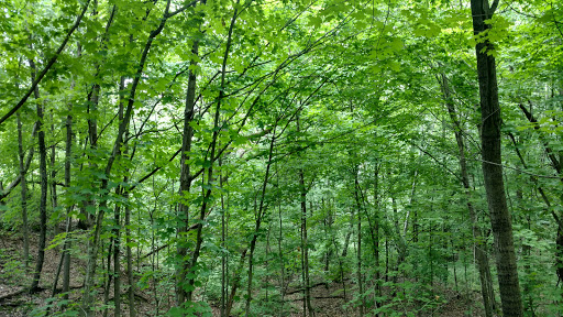 Nature Preserve «Carpenter Nature Center», reviews and photos, 12805 St Croix Trail S, Hastings, MN 55033, USA