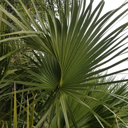 Country Club «Inverness Golf & Country Club», reviews and photos, 3150 S Country Club Dr, Inverness, FL 34450, USA