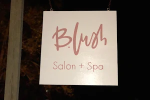 B.lush Salon & Spa image