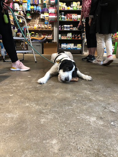 Pet Supply Store «BONeJOUR Pet Supply and Dog Wash», reviews and photos, 53 N 3rd St, Philadelphia, PA 19106, USA