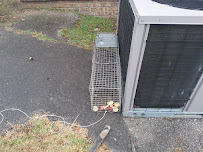 Uptown Pest Control - Photo 7 - Car repair in Aiea, HI, Honolulu