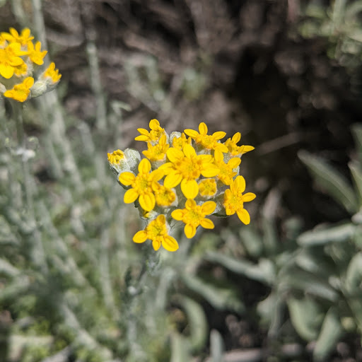 Bowling Alley «Chaparral 300 - We may close 1 hour early Sun-Thurs depending on volume, please call for details.», reviews and photos, 4191 Chino Hills Pkwy, Chino Hills, CA 91709, USA