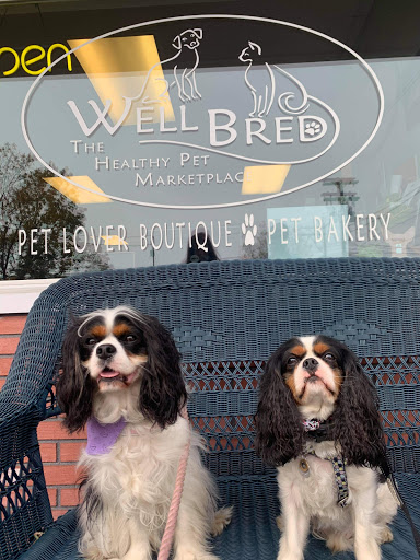 Pet Store «Well Bred», reviews and photos, 25 Main St, Chester, NJ 07930, USA