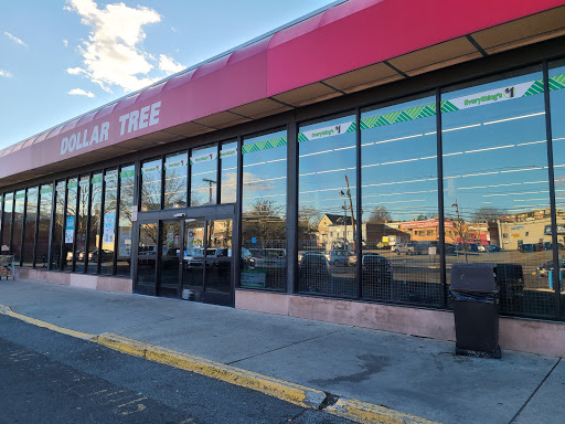 Dollar Store «Dollar Tree», reviews and photos, 24 Portland Ave, Bergenfield, NJ 07621, USA