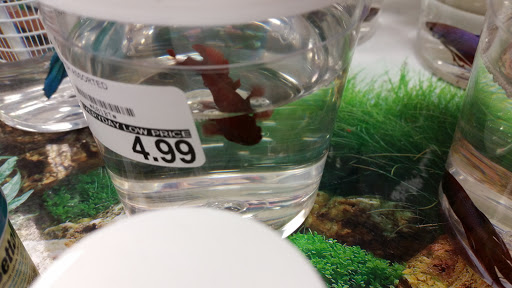 Pet Store «Pet Depot», reviews and photos, 22069 US-72 i, Athens, AL 35613, USA