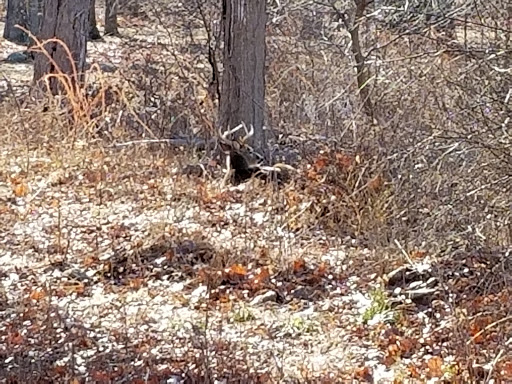 Recreation Center «Clark Recreation Center», reviews and photos, 59 Campbell Ave, Airmont, NY 10901, USA