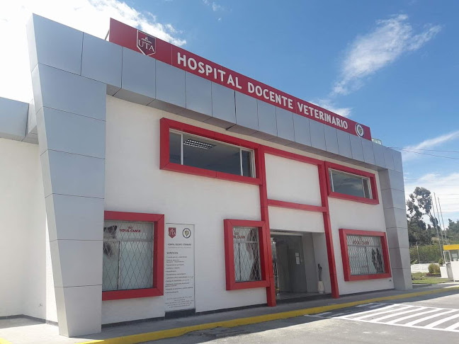 Hospital Veterinario UTA - Campus Querochaca